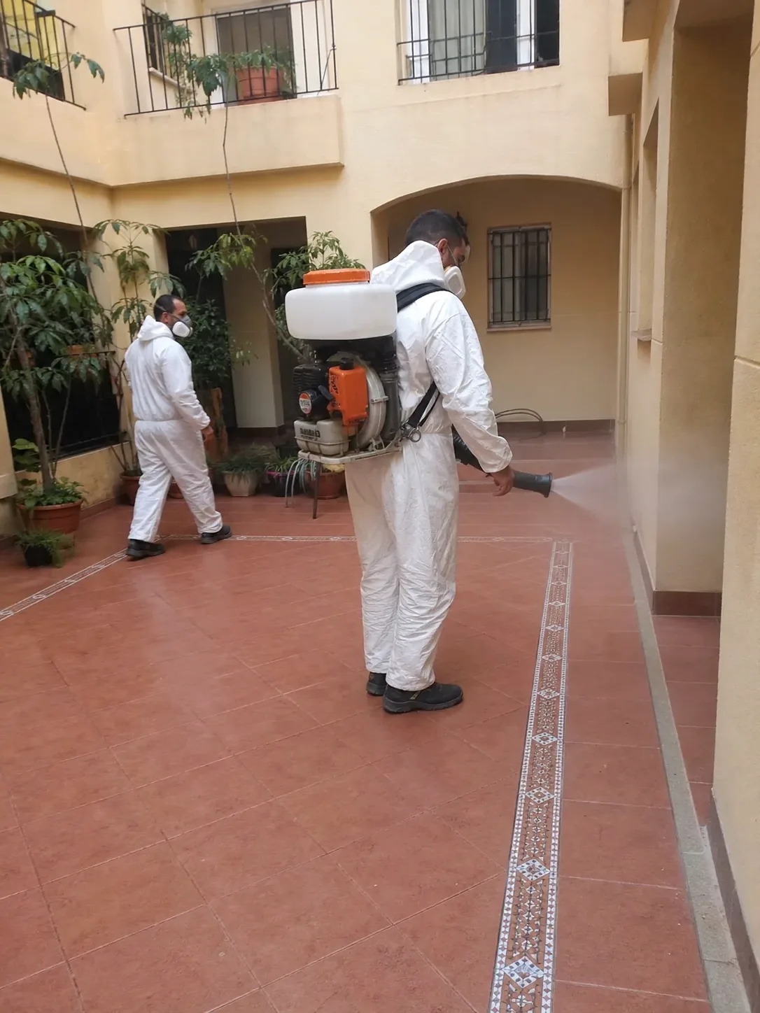 Técnicos de ParetsControl aplicando un tratamiento de fumigación