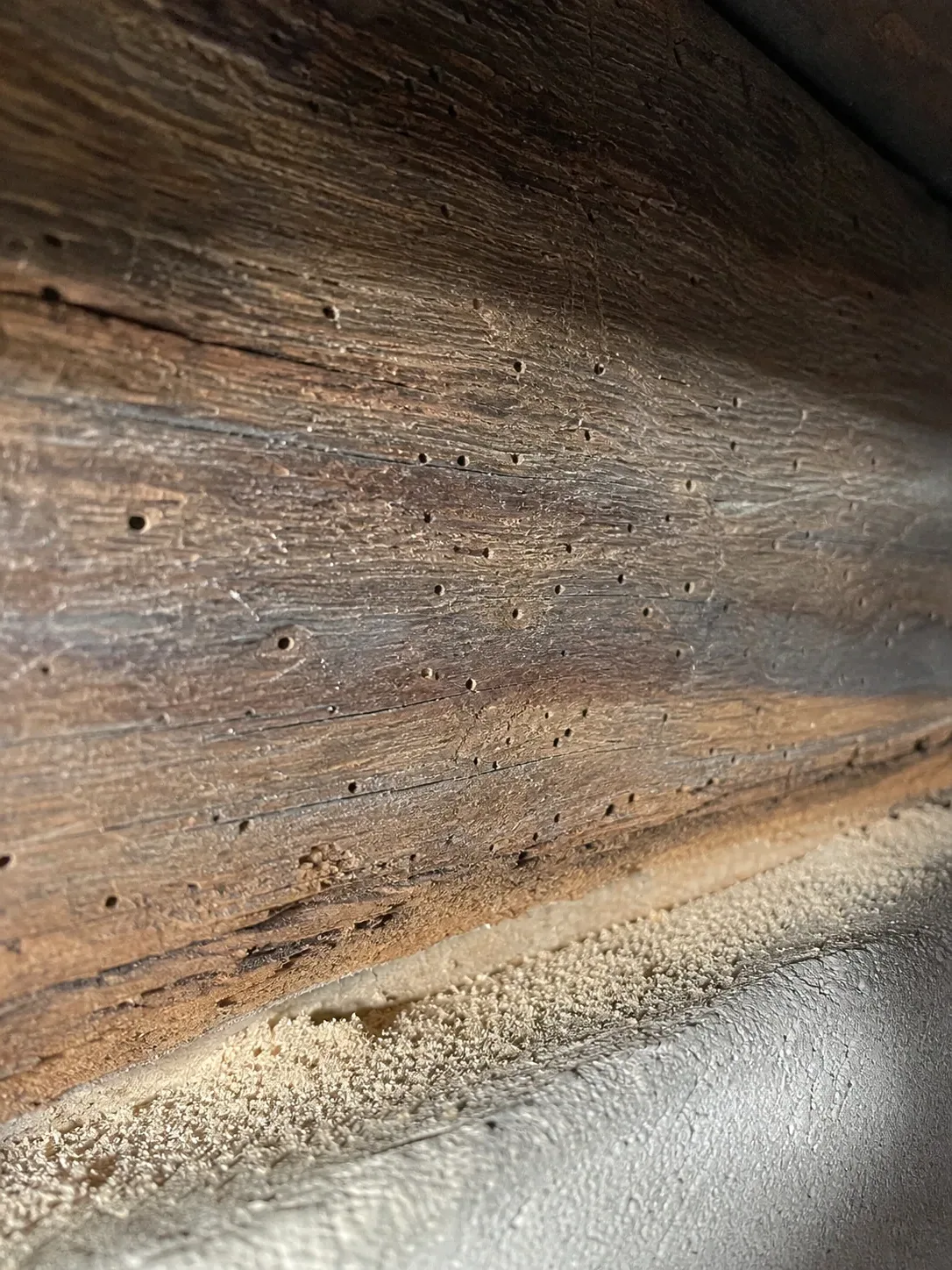 Tratamiento de carcoma en vigas de madera