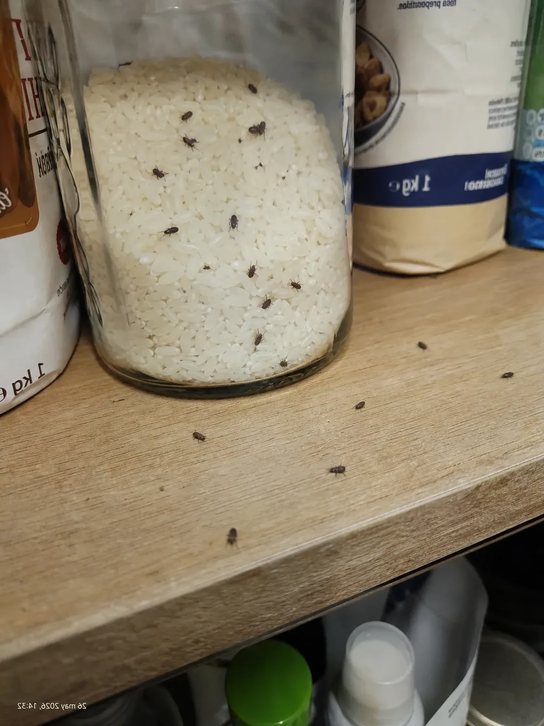 l'Escorxadorojos en un bote de arroz de la despensa