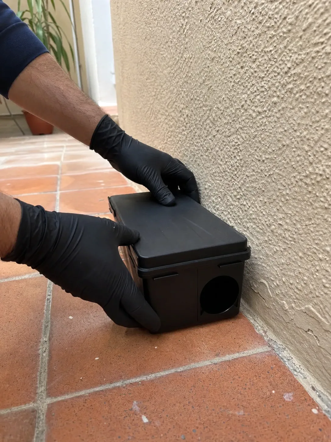 Instalación de un portacebos de seguridad para roedores